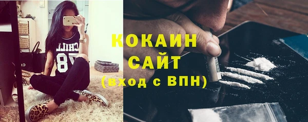гашик Алзамай