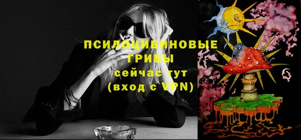 метадон Сафоново