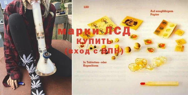 гашик Алзамай